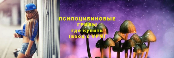 ПСИЛОЦИБИНОВЫЕ ГРИБЫ Абдулино